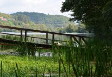 Pliny the Younger and the Christians of Anatolia